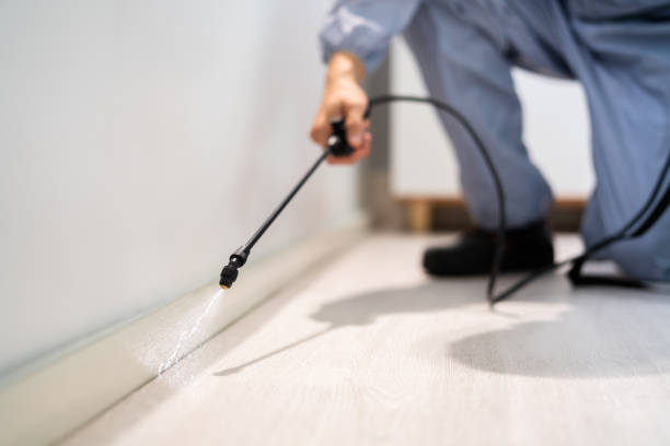 Licensed Pest Control service in Bridgeville, PA - Show Me Pest Control