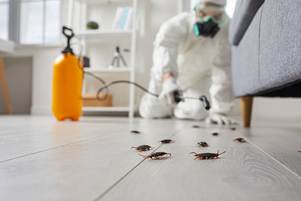 Post-Treatment Bed Bug Interceptor Monitoring in Bridgeville